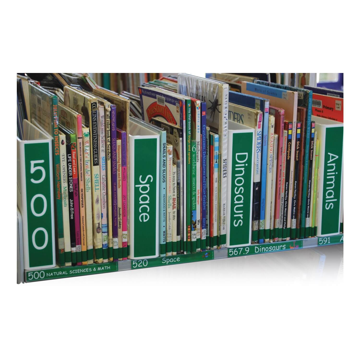 Slimline Shelf Dividers 220mm (h) 250mm (d)