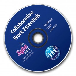 Digital Resource: Collaborative Work Essentials
