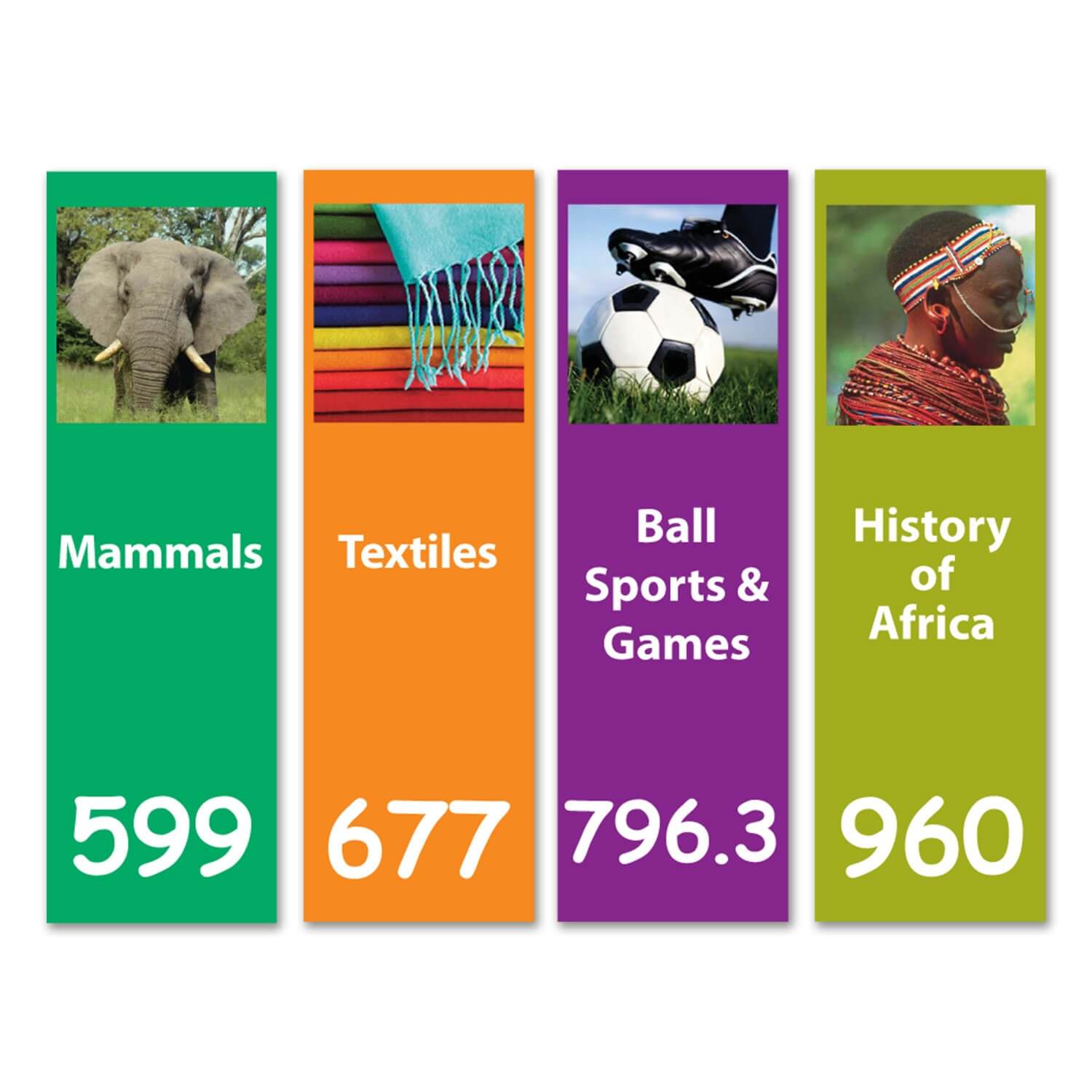 Senior Expanded Dividers with graphic Set 3