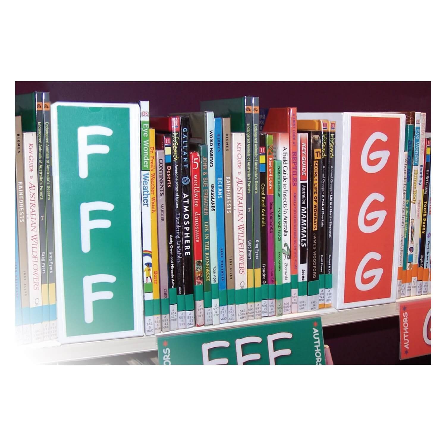 Shelf Divider Stands