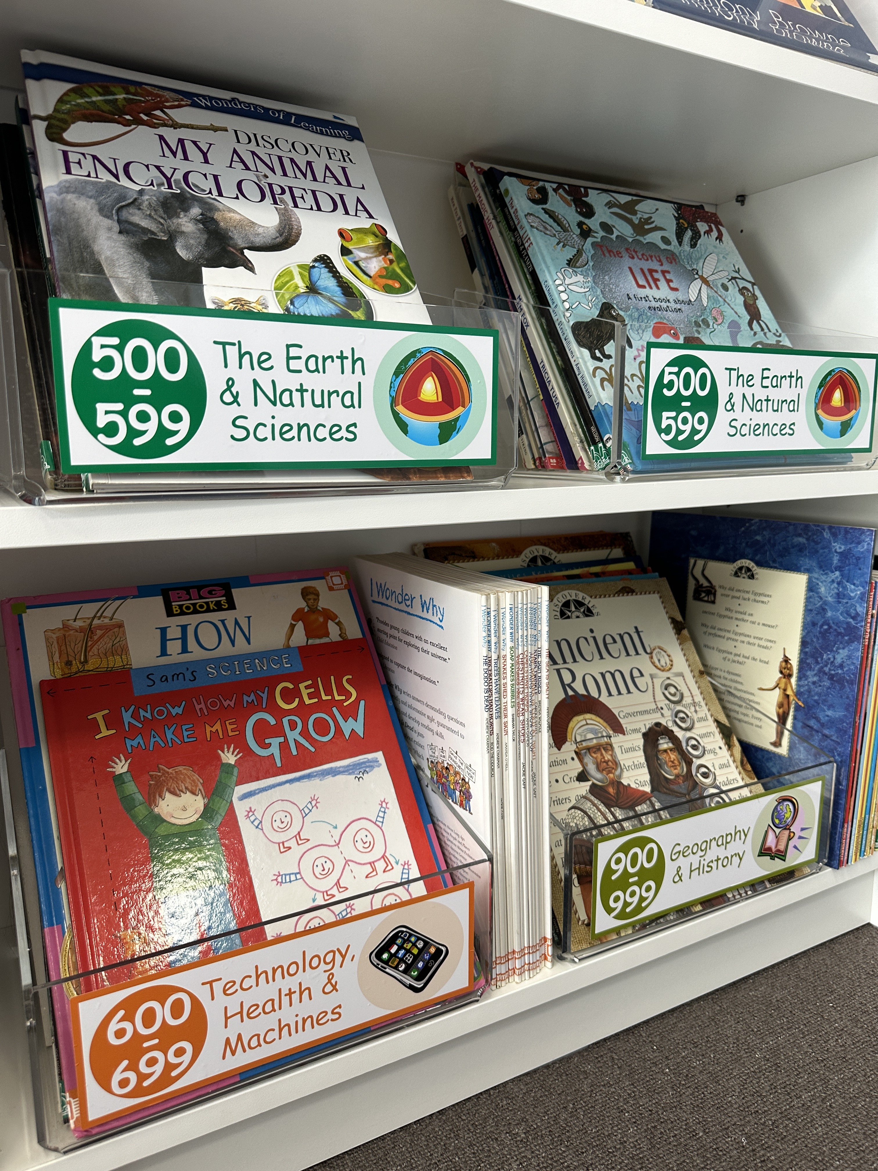 Acrylic Book Storage Box (Large)