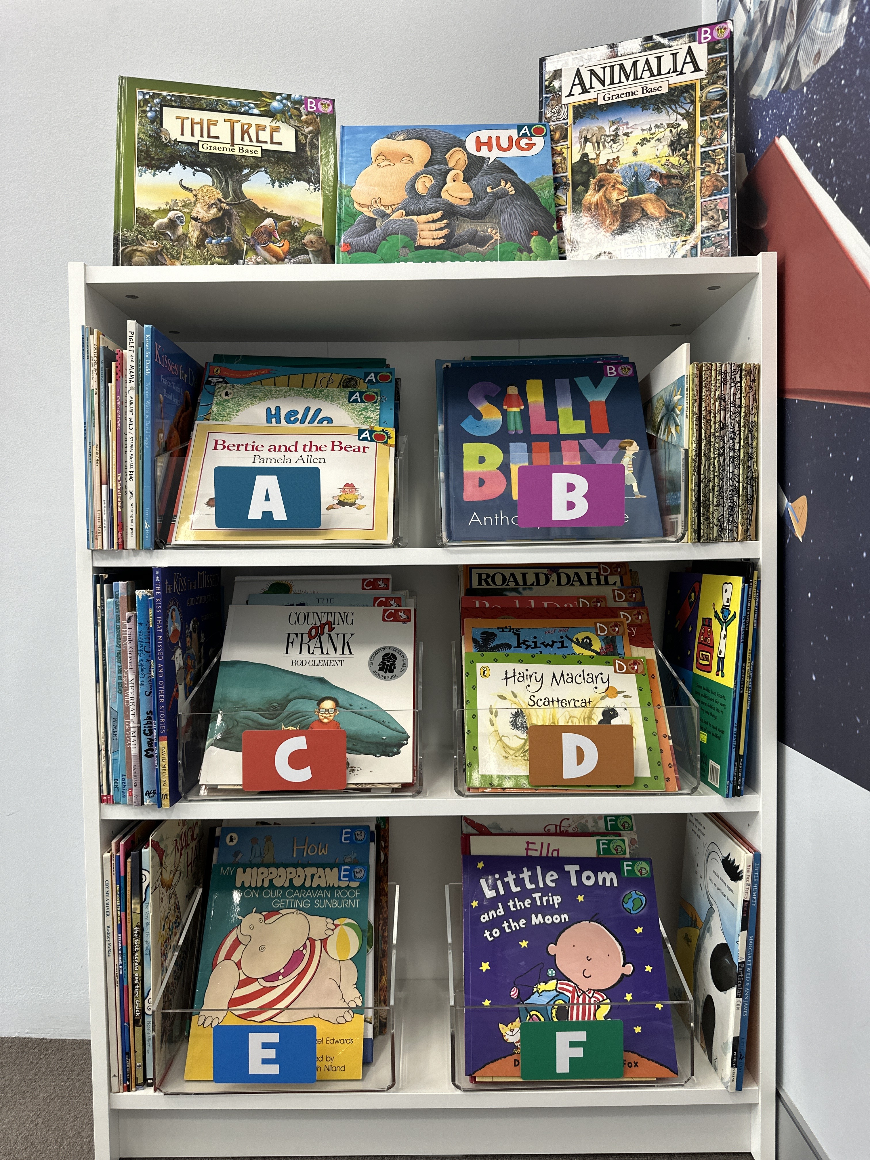 Acrylic Book Storage Box (Large)