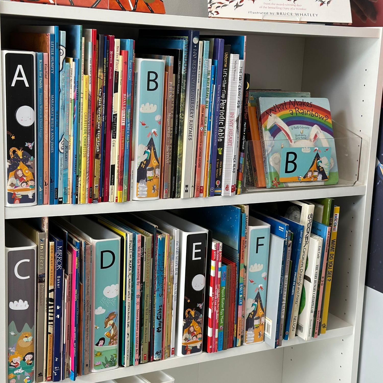 Picture Book Slimline Divider Starter Pack 250mm (d) x 250mm (h)