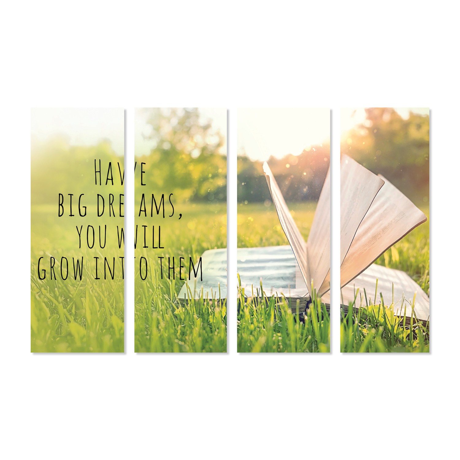 Big Dreams Wall Graphic Mural