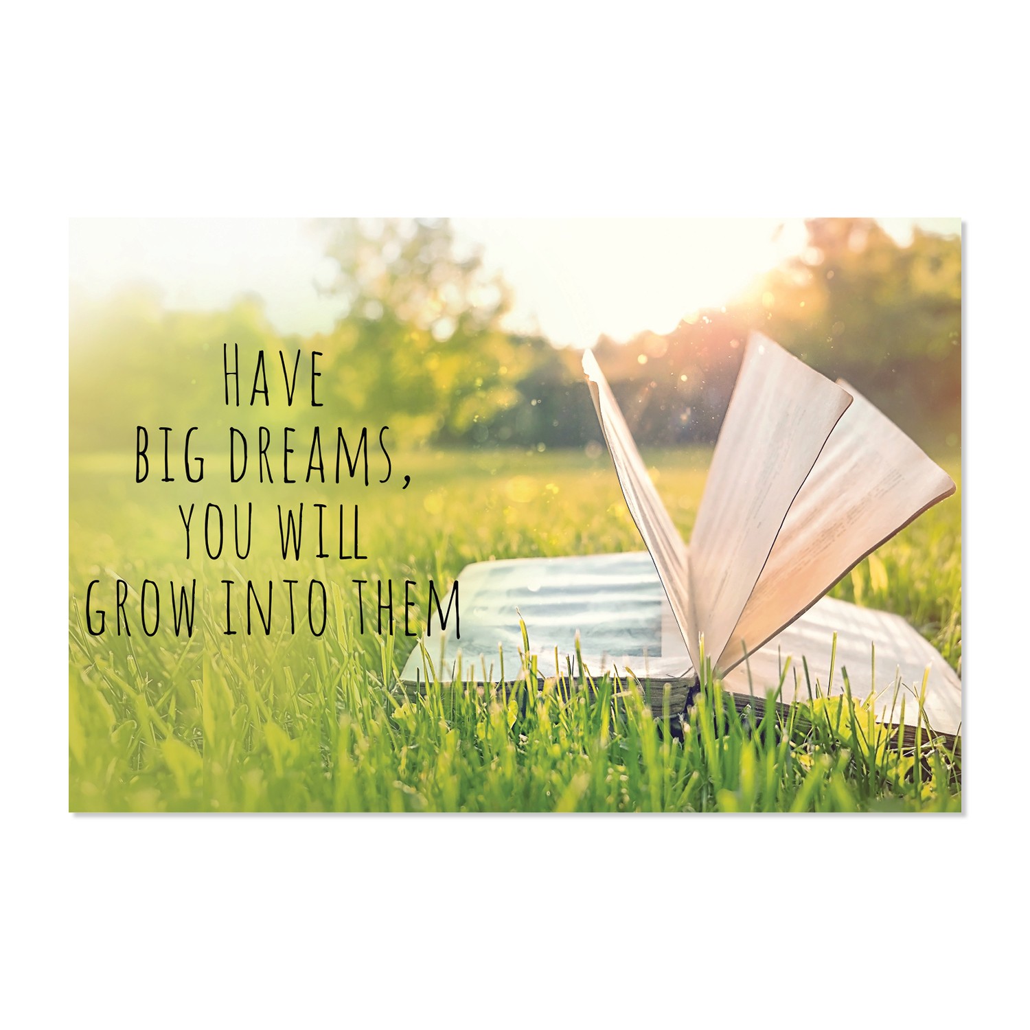 Big Dreams Wall Graphic Mural