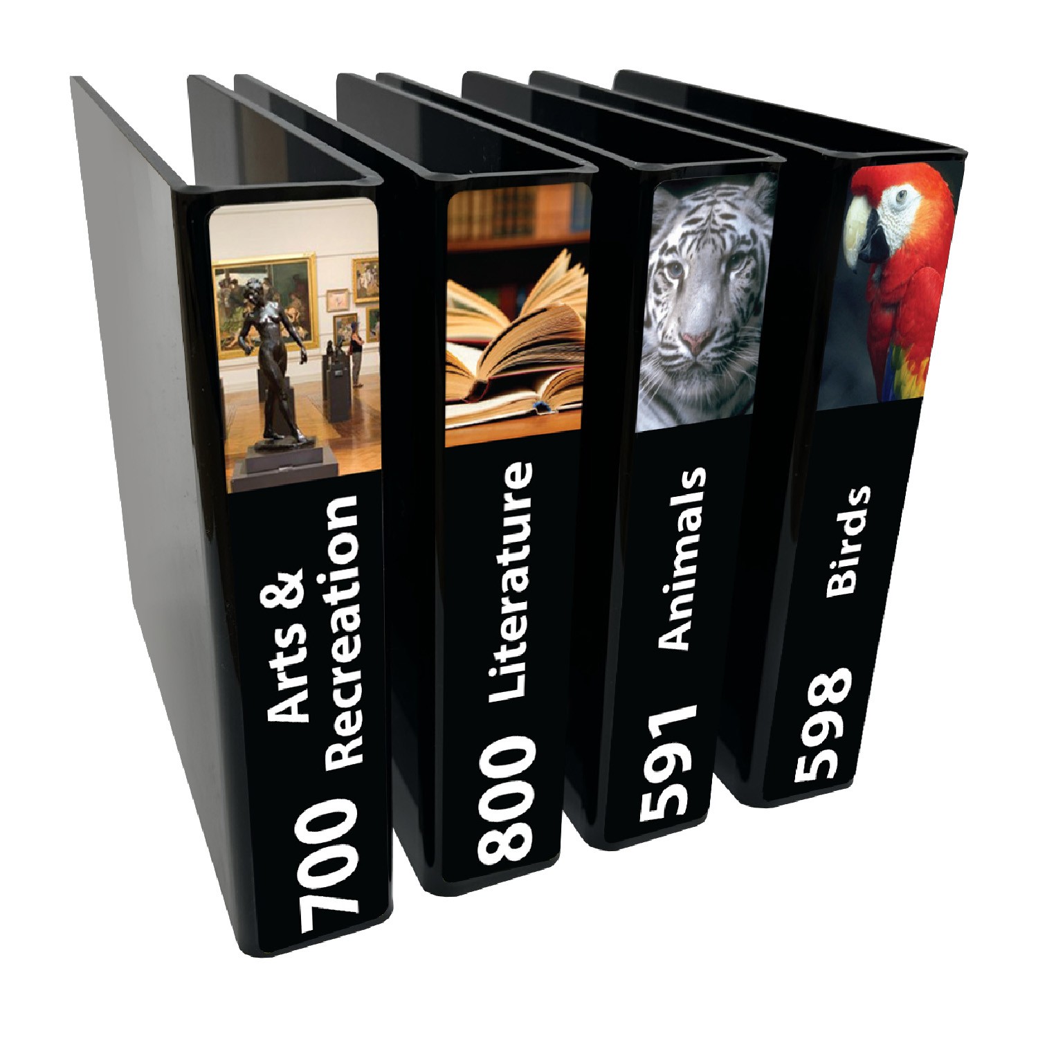 Senior Expanded Non Fiction Slimline Divider Starter Pack (Black)