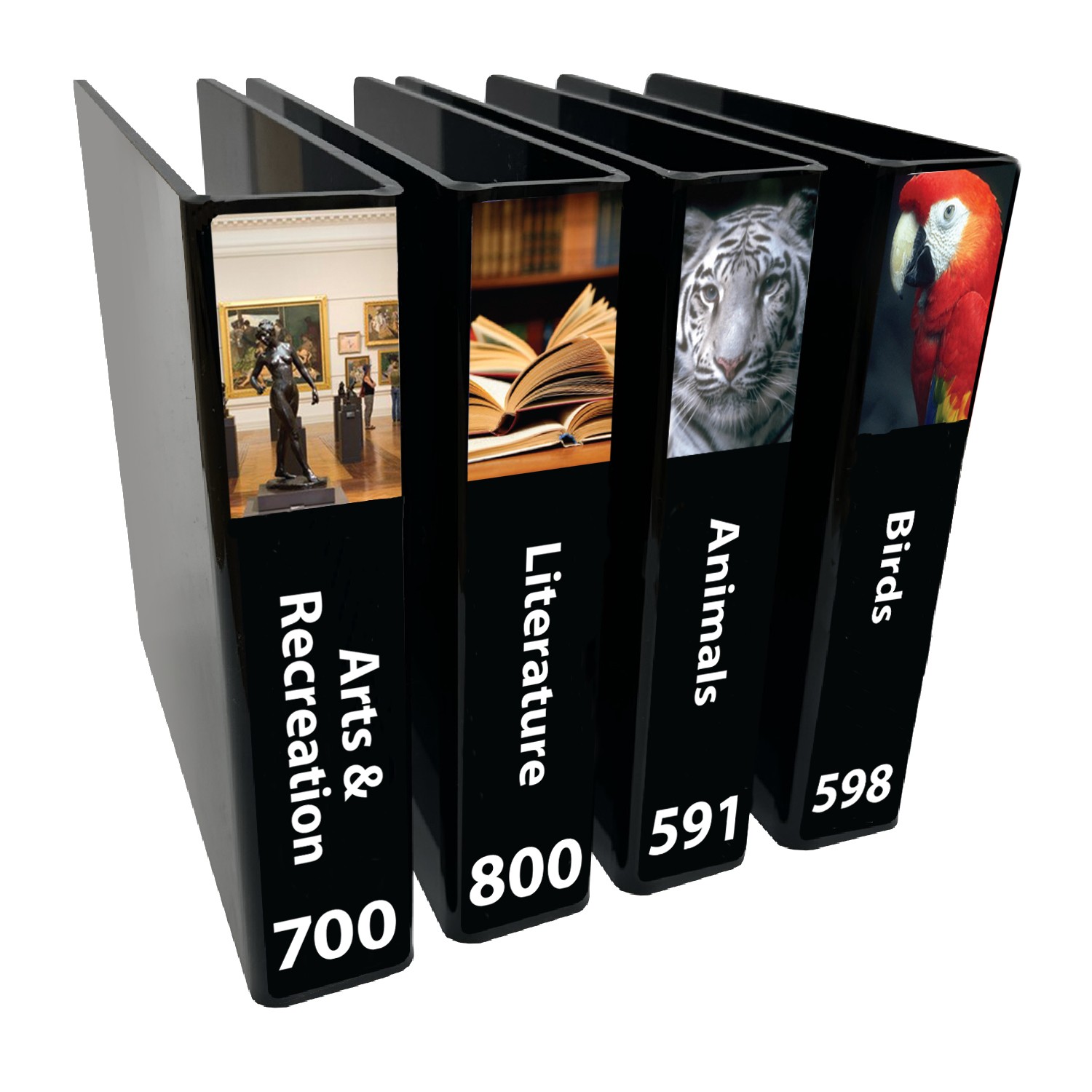 Senior Expanded Non Fiction Slimline Divider Starter Pack 250mm (Black)