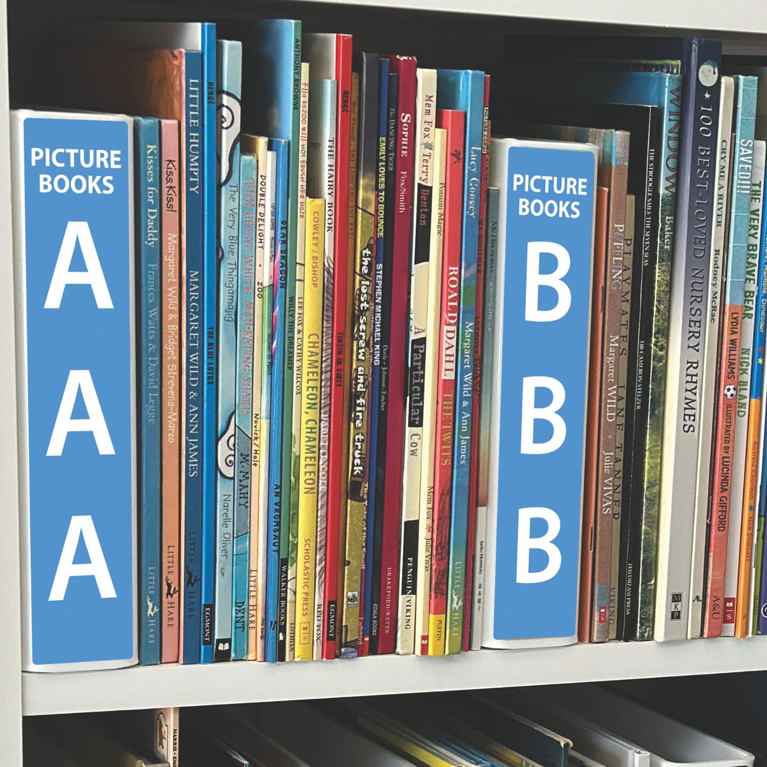 Picture Book (Title) Slimline Divider Starter Pack