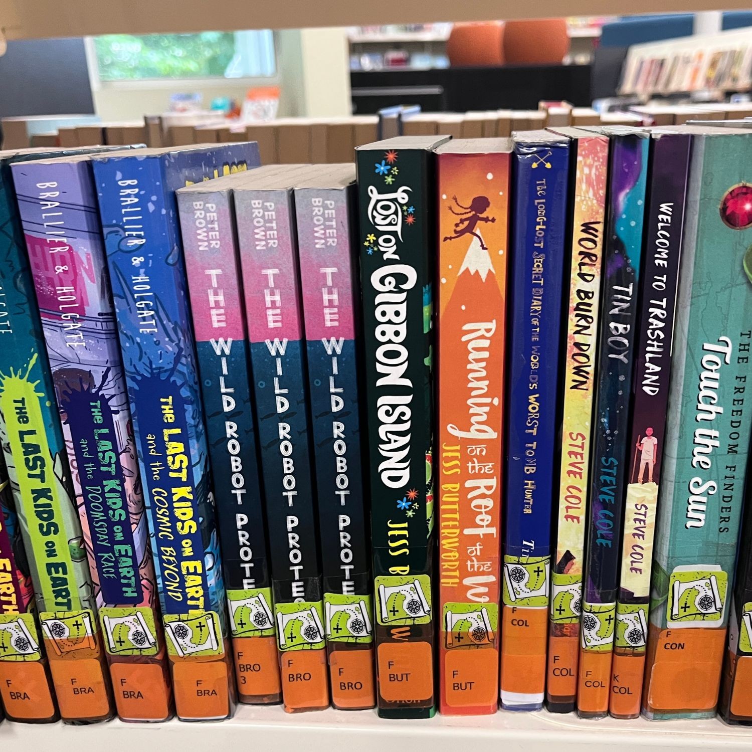 Tinted Label Protectors