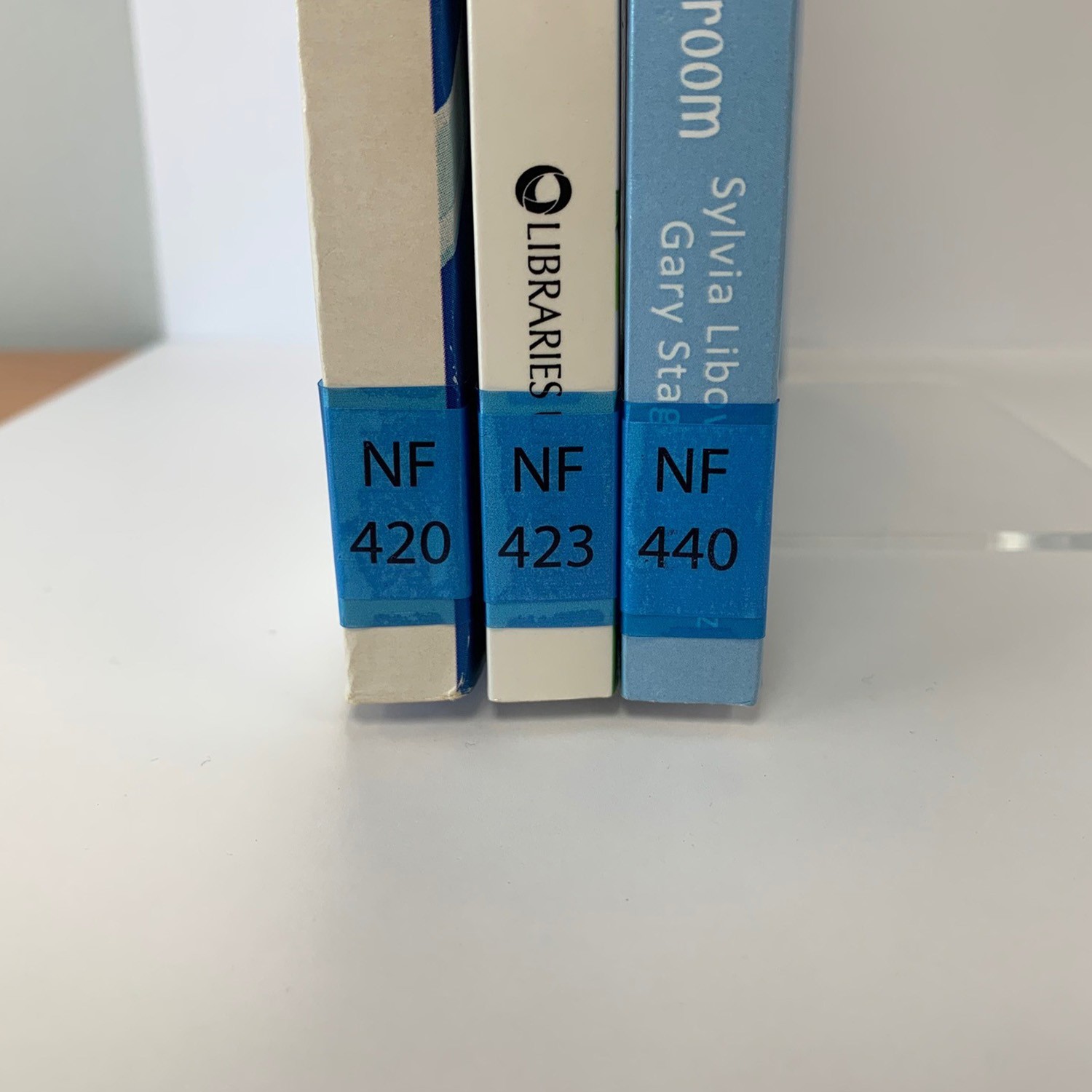 100 Tinted Mid Blue Label Protectors