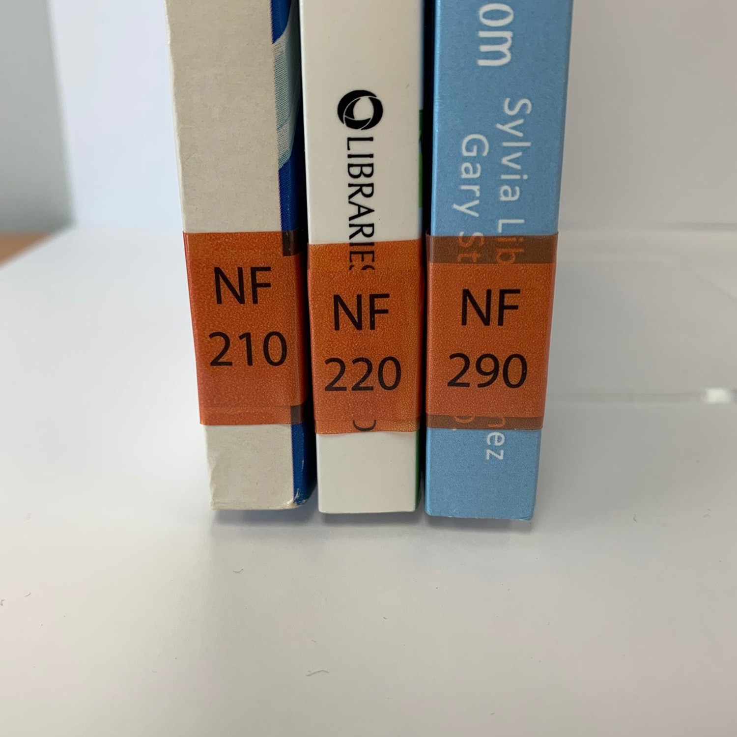 100 Tinted Red Label Protectors