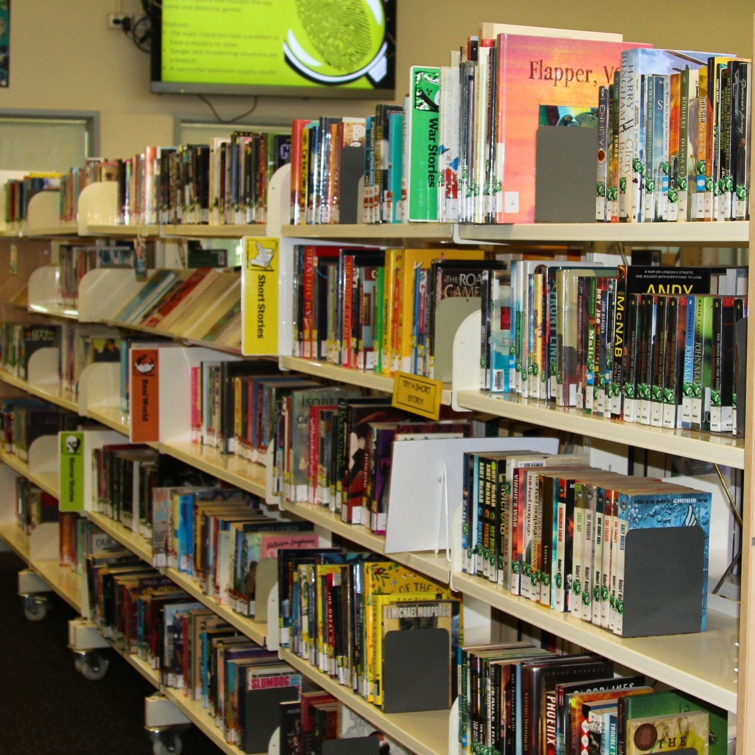 Senior Genre Acrylic Collection Divider Starter Pack (single-sided)