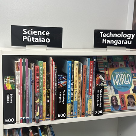 Perspex Location Fin Starter Pack (5)(Choose Your Own)(Maori)