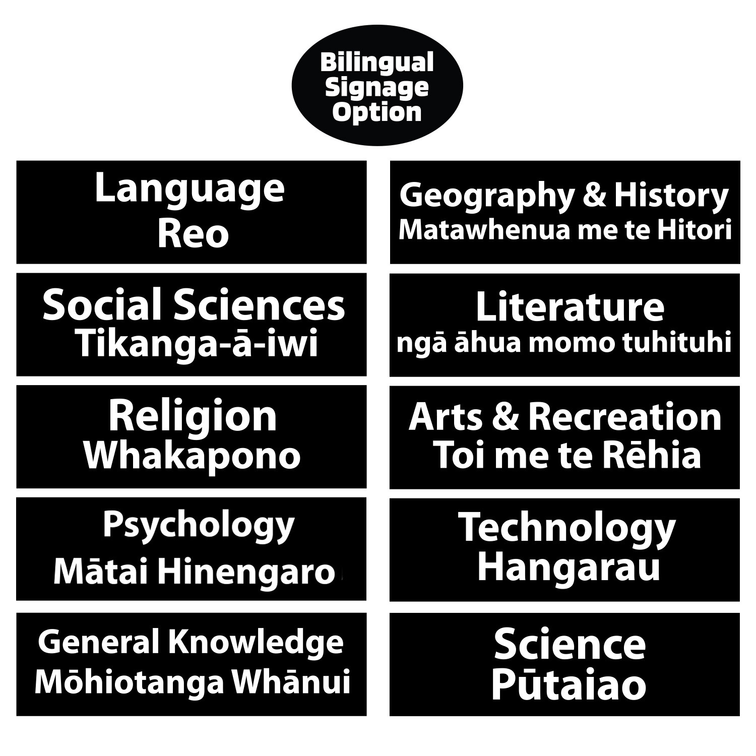 Perspex Non Fiction Fin Starter Pack (10)(Maori)