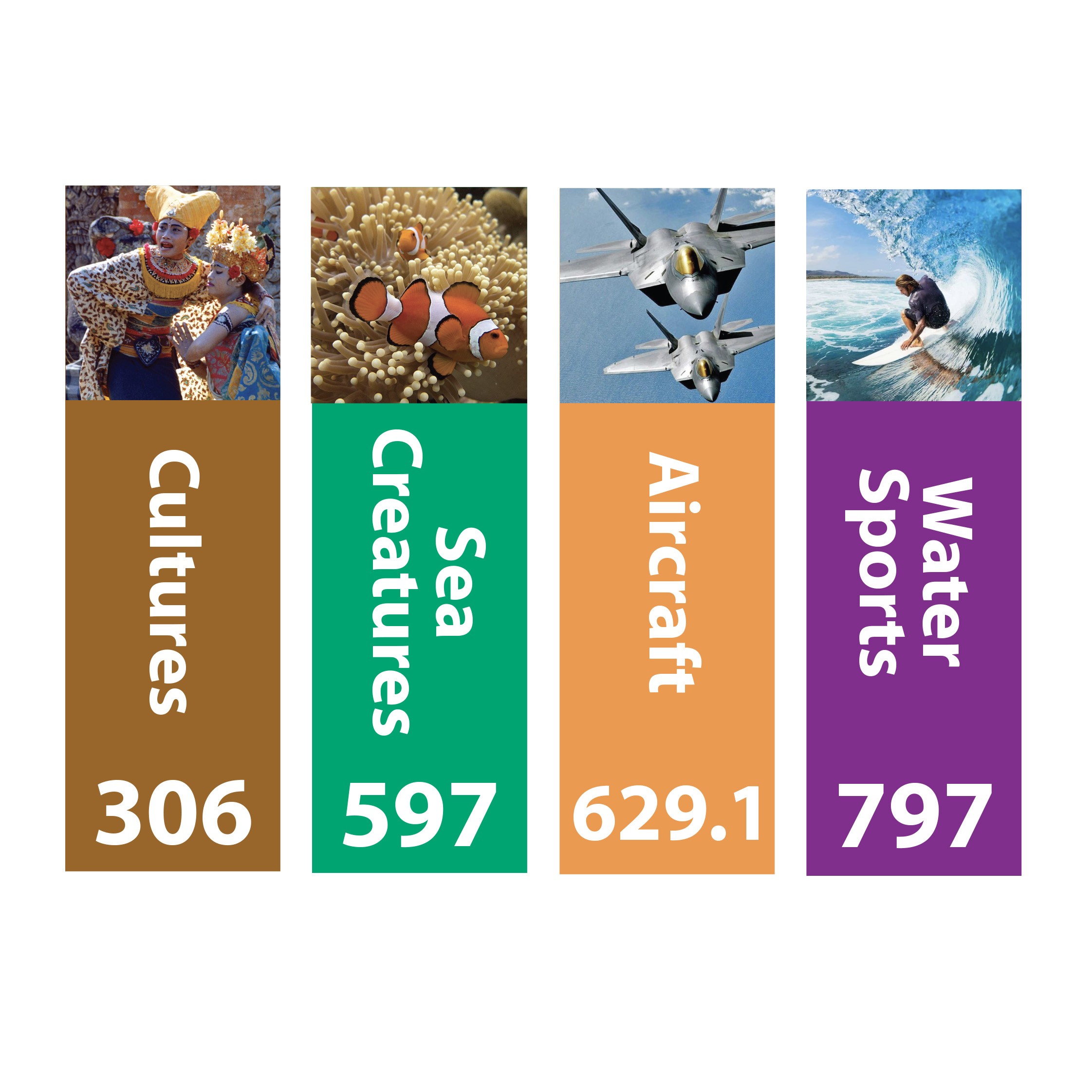 Senior Expanded Non Fiction Sticky Back Signs Set 3 Design 5