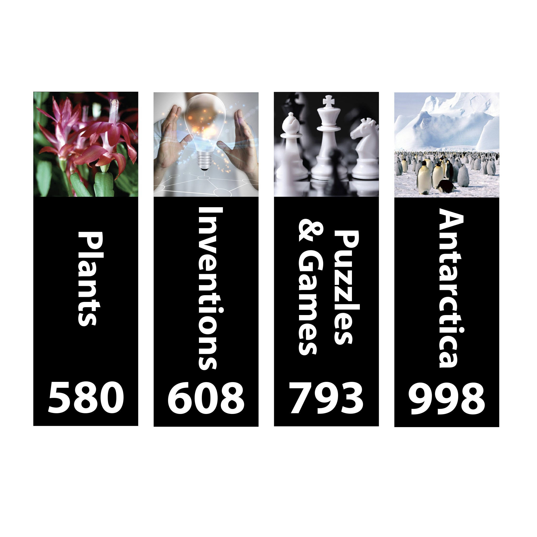 Senior Expanded Non Fiction Sticky Back Signs Set 2 Design 5