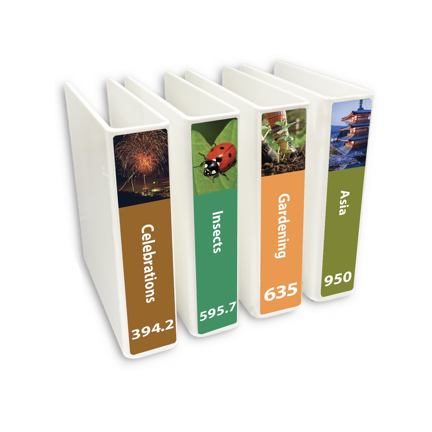 Senior Expanded Non Fiction Slimline Divider Pack Set 2 250mm