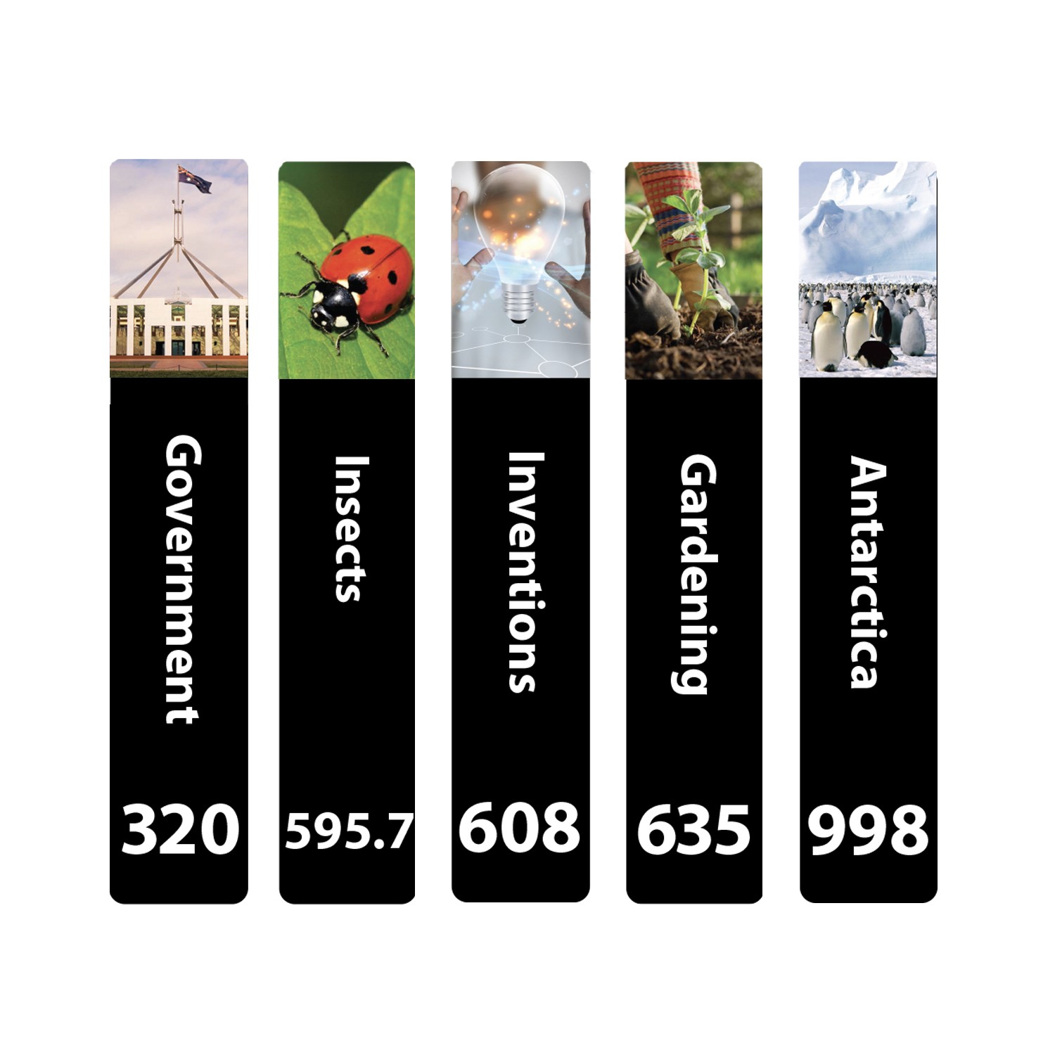 Senior Expanded Non Fiction Slim Sticky Back Signs Set 2 Design 6 250mm (h)