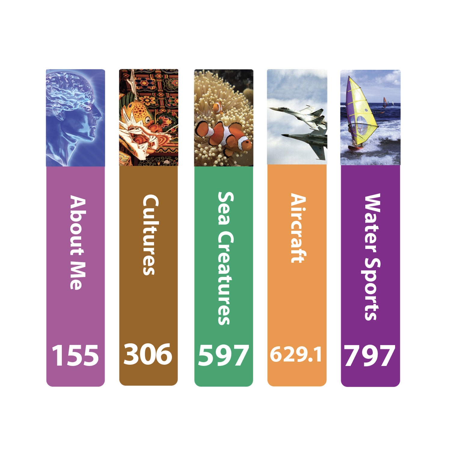 Senior Expanded Non Fiction Slim Sticky Back Signs Set 3 Design 6