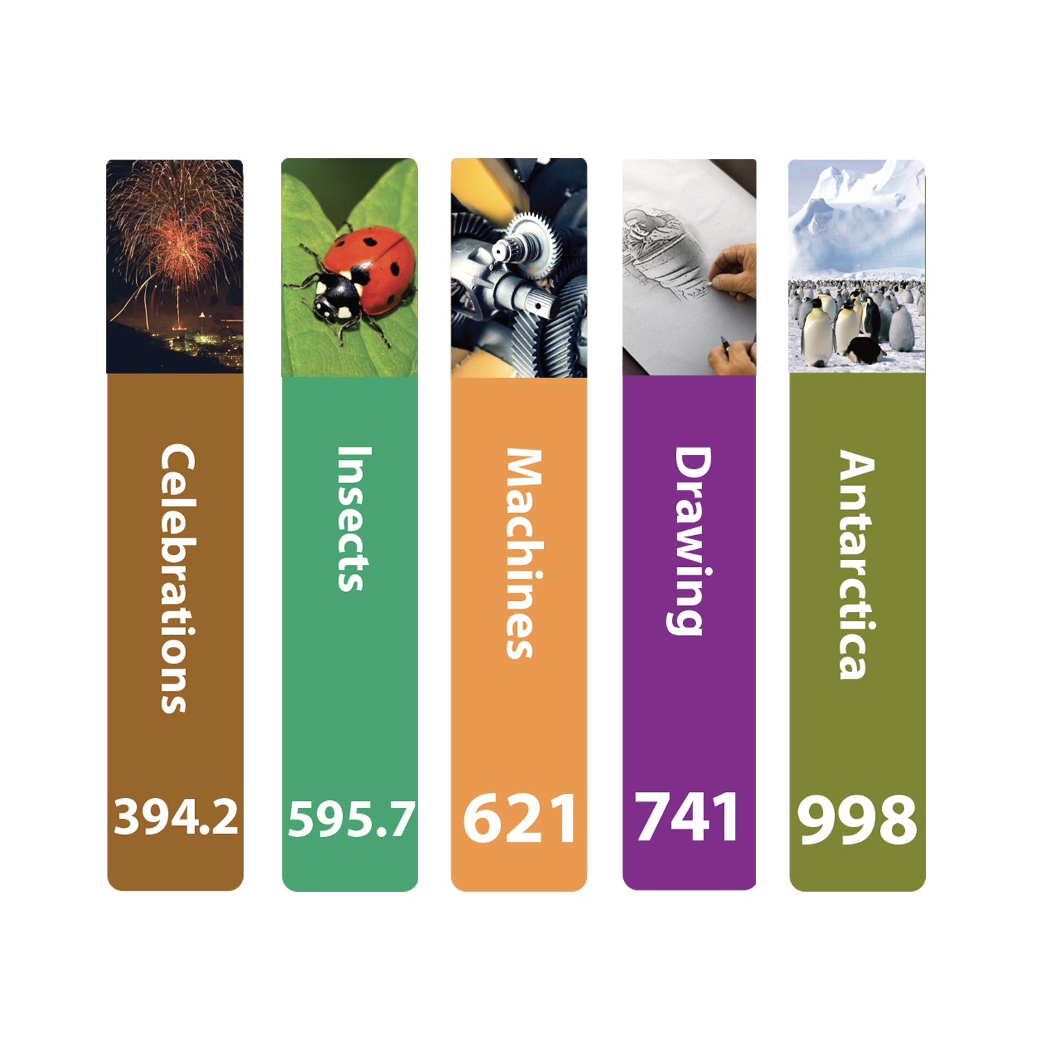 Senior Expanded Non Fiction Slim Sticky Back Signs Set 2 Design 6