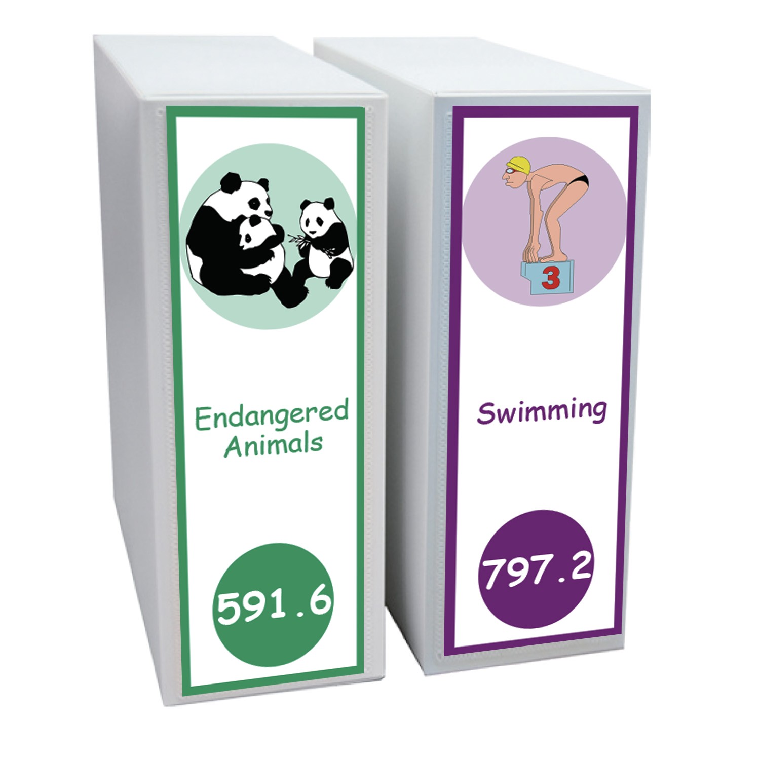 Expanded Non Fiction Shelf Divider Pack Set 4 250mm