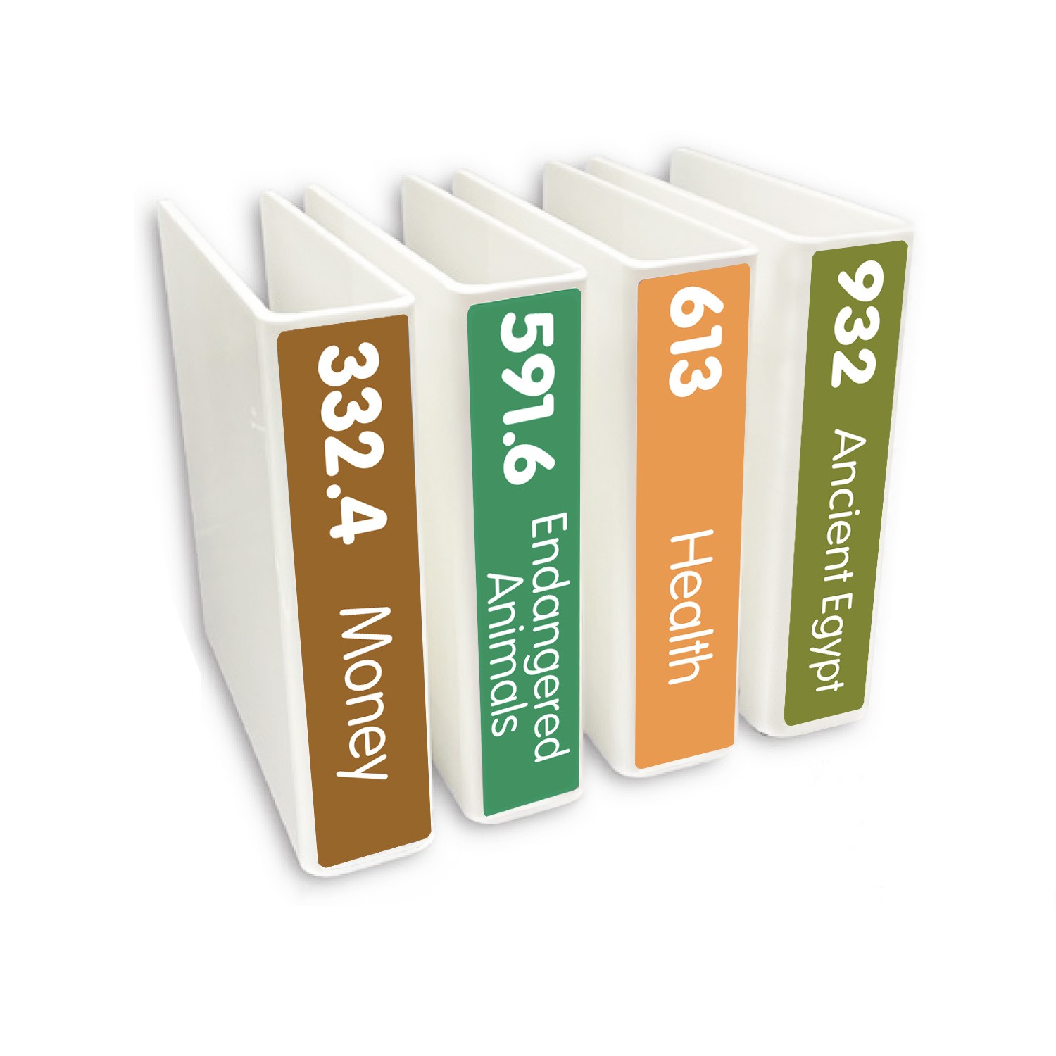 Expanded Non Fiction Slimline Divider Pack Set 4 250mm (Text only)