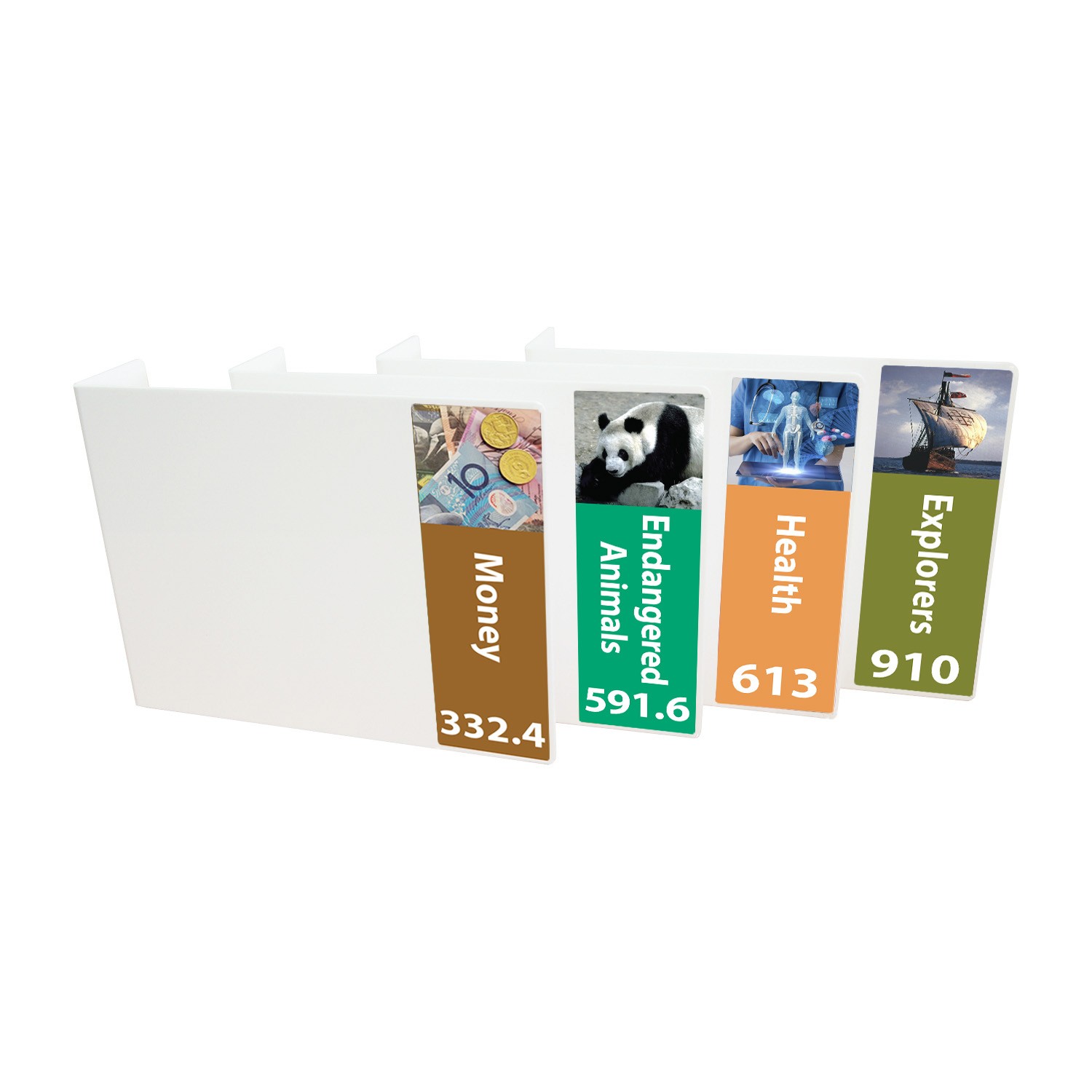 Senior Expanded Non Fiction Acrylic Collection Divider Pack Set 4 (double-sided)
