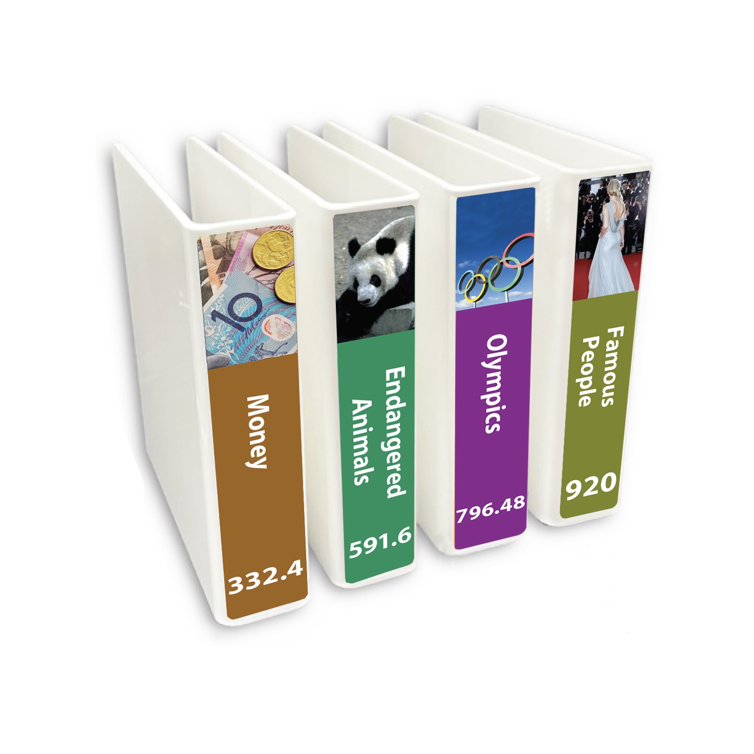 Senior Expanded Non Fiction Slimline Divider Pack Set 4 250mm