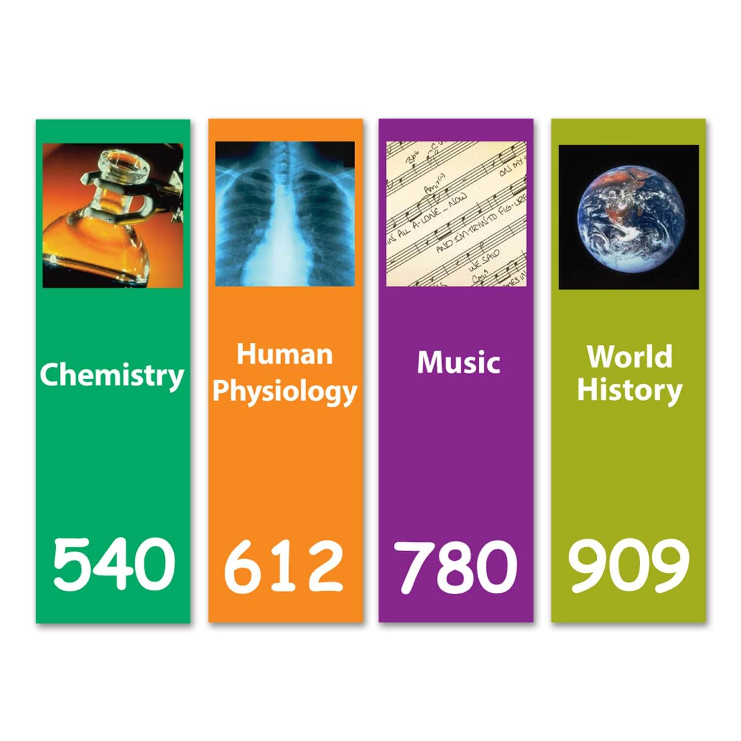 Senior Expanded Dividers with graphic Set 1 250mm