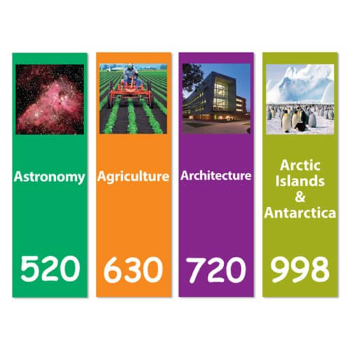 Senior Expanded Dividers with graphic Set 2 200mm