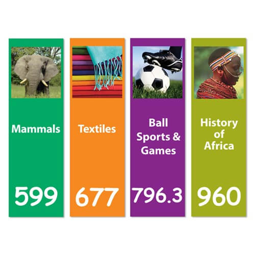 Senior Expanded Dividers with graphic Set 3 250mm