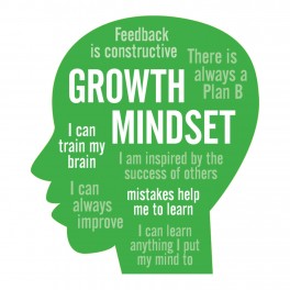 Growth Mindset Adhesive Wall Graphic
