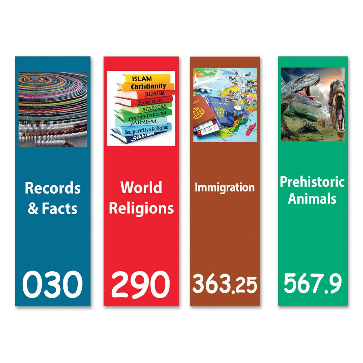 Senior Expanded Dividers with graphic Set 4 250mm