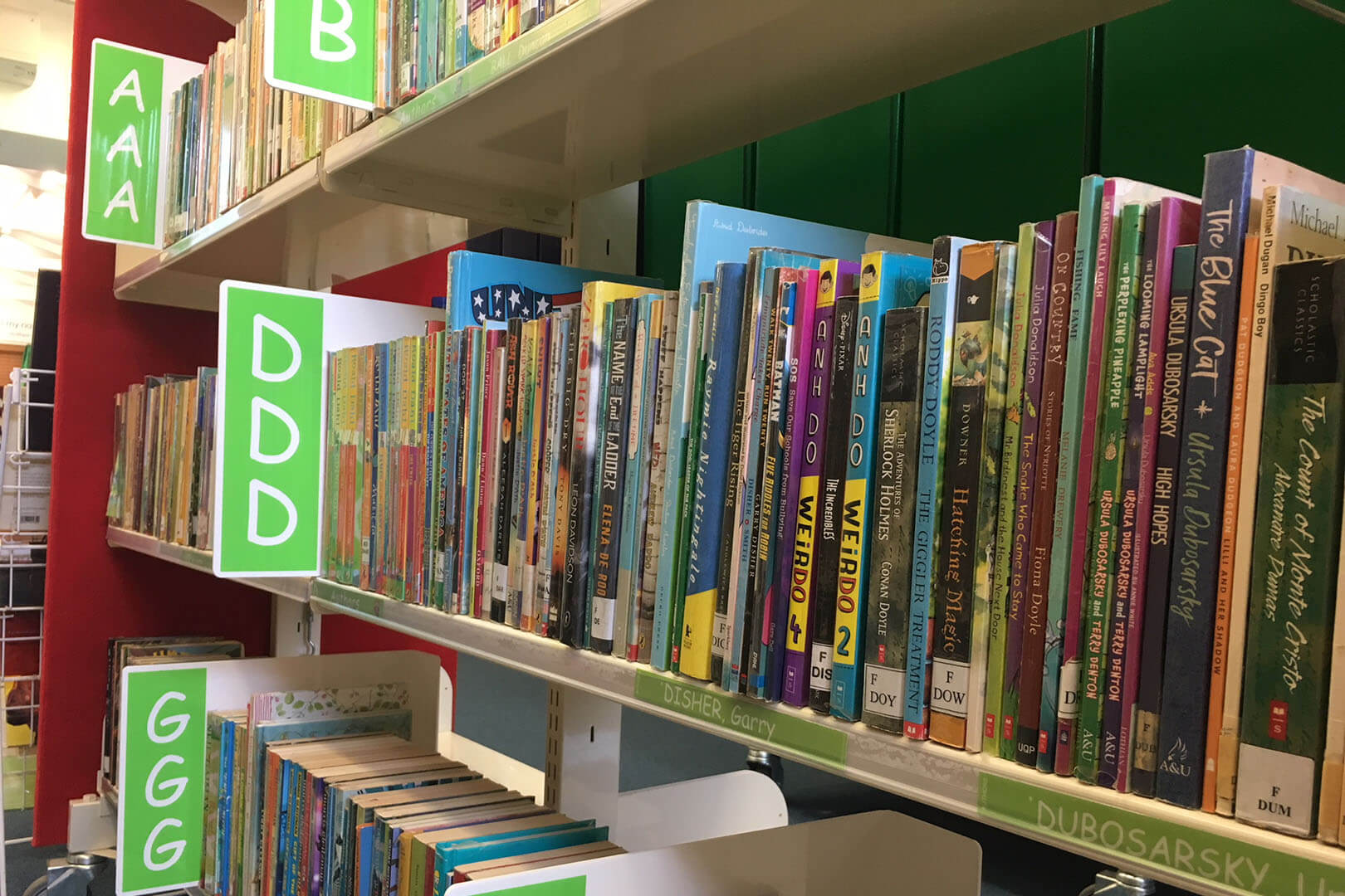 Acrylic Collection Dividers Acrylic Collection Dividers